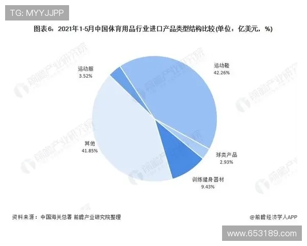 尊龙体育进口行业发展趋势分析洞察国际体育用品市场的最新动态与未来方向